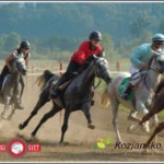 6. konjske dirke v Imenem (foto, video)